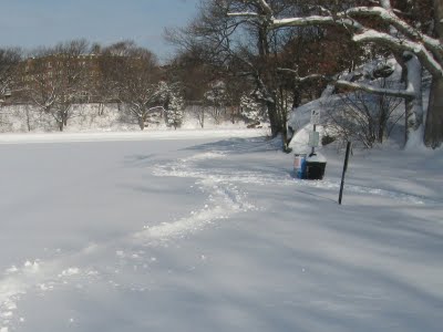 snow tracks