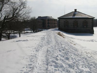 snow tracks