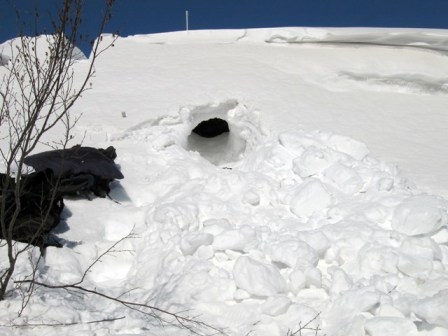 snow cave